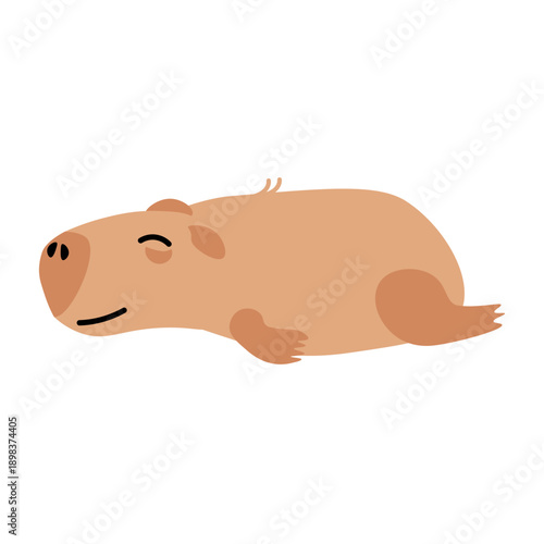 Lazy capybara sleeps peacefully on his stomach with paw stretched out. Relaxing swamp guinea pig rodent. Tropical swamp animal mammal. Flat cartoon vector isolated on white background