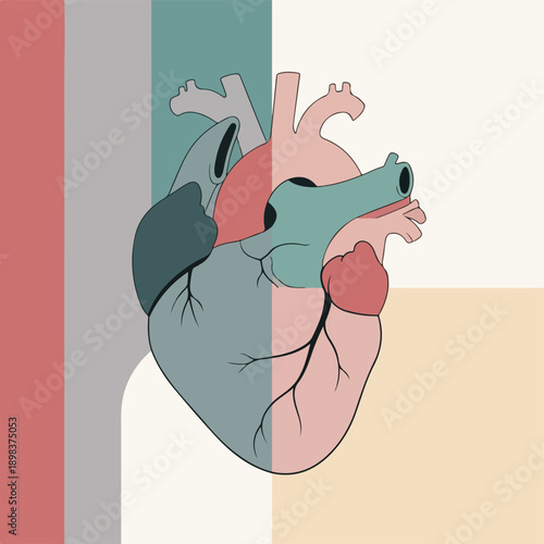 Colorful, stylized illustration of a human heart with geometric background