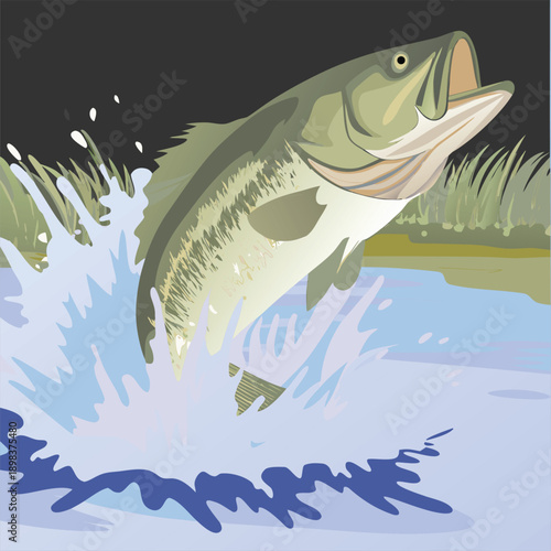 A black and white line art illustration of a fish leaping out of water, centered in the frame. The fish is a detailed depiction of a specific fish species, likely a bass or similar fish, with scales m