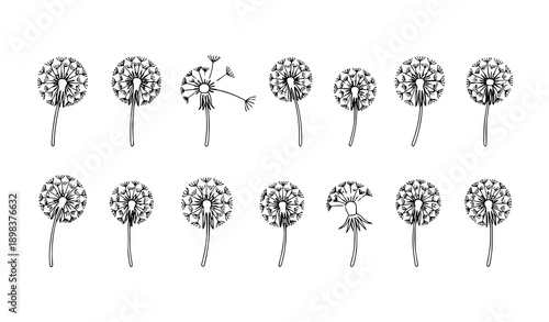 Minimal Dandelion Flower Silhouette Line Icons Vector Set