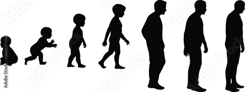 Silhouette illustration showing male life stages from infant to adult, representing human growth, physical development, age transition, evolution, and personal journey.