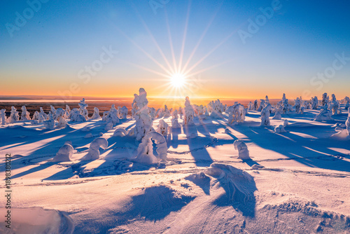 Obraz na płótnie winter sunset in the mountains with snow