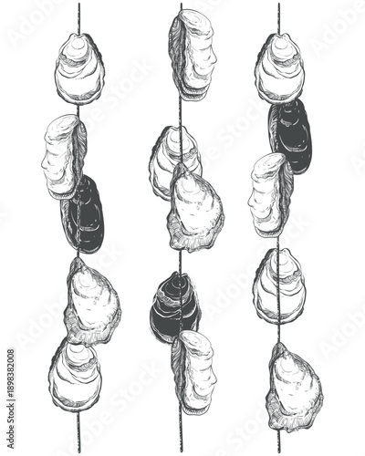 Oyster farm. Vector illustration imitating an ink drawing. Ancient Roman method of growing shellfish on a rope. Seafood. Mussel shells underwater. Illustration for shops and restaurants.