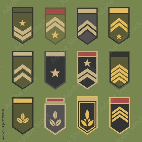Military Rank Insignia Collection: Army Chevron Badges with Stars and Leaves