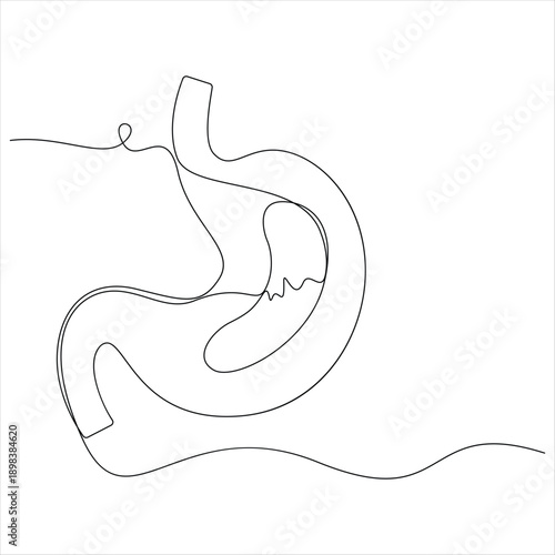 One continuous line drawing of stomach organ human gastrointestinal line art vector illustration