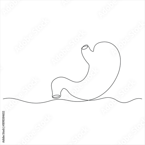 One continuous line drawing of stomach organ human gastrointestinal line art vector illustration