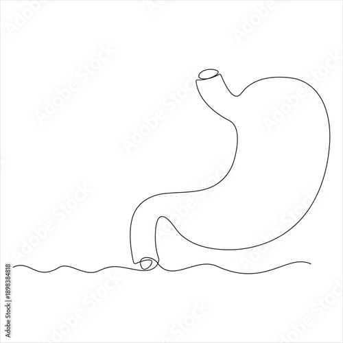 One continuous line drawing of stomach organ human gastrointestinal line art vector illustration