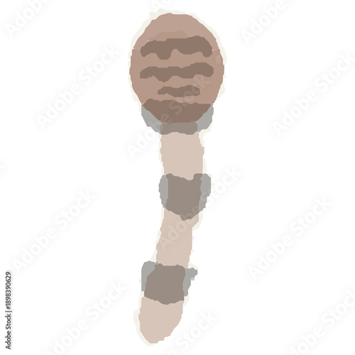 幼稚園・保育園向け 3月のやさしい水彩挿絵イラストシリーズ｜つくし｜Horsetail Plant Watercolor Illustration