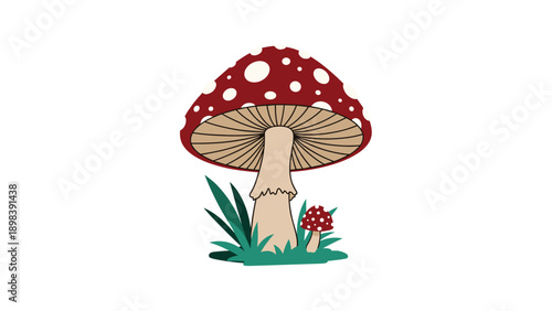 Large red and white spotted mushroom or fly agaric with a smaller one beside it growing in a patch of green grass in a nature illustration.