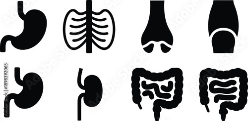 Collection of black silhouette icons depicting human internal organs and skeletal parts Keywords: stomach, digestive system