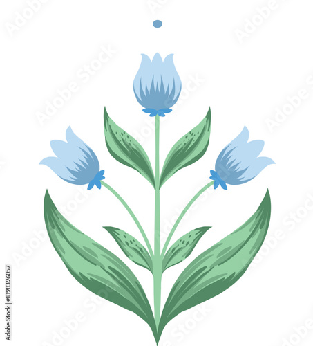white and blue flowers