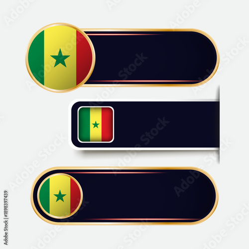 Shiny Senegal Flag Banners Set