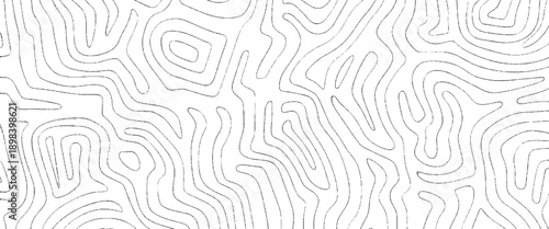 Vector Abstract Organic Line Pattern on White Background