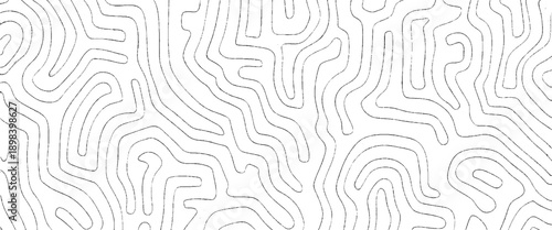 Vector Abstract Organic Line Pattern on White Background