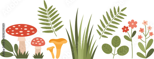 Forest Mushroom and Botanical Line Art Illustration Set with Toadstools and Wild Plants