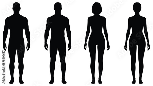 Understanding Human Anatomy A Comprehensive Vector Illustration Set.e