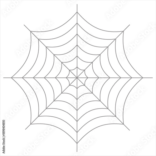 The silhouette of the web. Vector illustration. Transparent background. Isolated