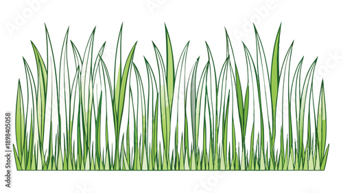 Illustration of a seamless vector grass border made in outline, perfect for nature and landscape designs