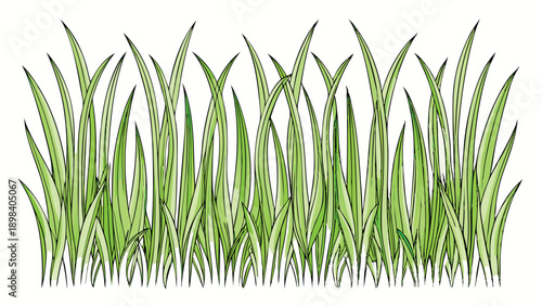 A vibrant illustration of lush green grass blades, perfect for nature-themed designs and agricultural concepts