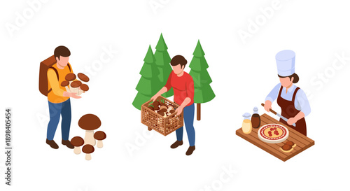 Isometric mushroom gathering and culinary preparation with forest elements