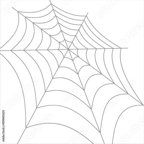 The silhouette of the web. Vector illustration. Transparent background. Isolated
