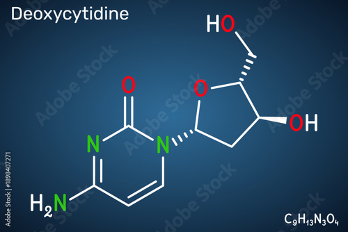 Deoxycytidine molecule, DNA nucleoside involved in molecular biology and genetics. Skeletal chemical formula. Dark blue background. Vector illustration