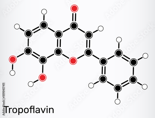 7,8-Dihydroxyflavone, tropoflavin molecule. Natural flavonoid and potent TrkB agonist. Skeletal chemical formula. Vector illustration