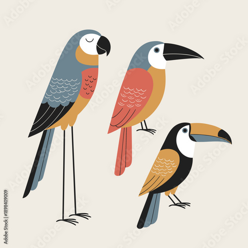 Stylized tropical bird illustration set featuring toucans and parrots in flat geometric design for nature conservation and exotic travel posters.