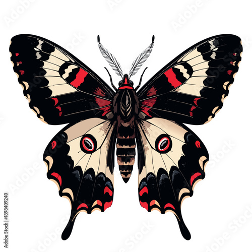 a psychadelic but symmetrical moth that is black, white, and red, with a bold outline seperating it from a black background. cell shading, ultra high definition,