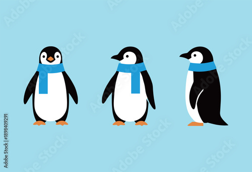 Cute penguin characters wearing blue scarves in front, side and profile views, winter animal mascot set, flat design vector illustration for kids.