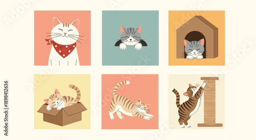 Grid of six illustrations depicts cute cats in various activities like sleeping in a box or scratching a post on colorful backgrounds.