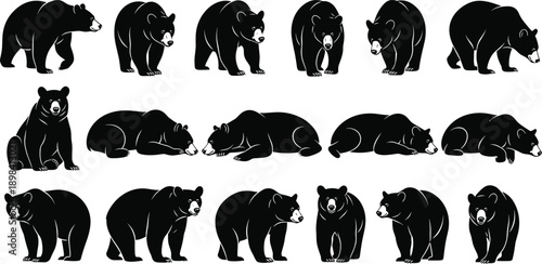 Black bear silhouettes set with fifteen various poses, walking, sitting, standing, and resting grizzly icons, minimalist wildlife vector on white background