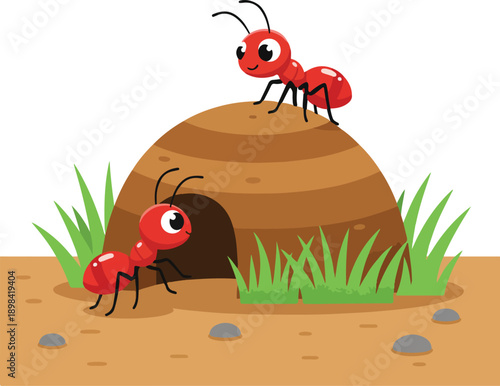 Two adorable red ants exploring their cozy ant hill on a sunny day in the garden