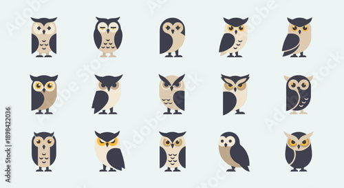 Collection of Cartoon Owl Illustrations.