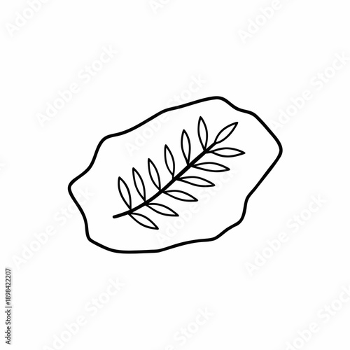 Fossil Leaf Vector