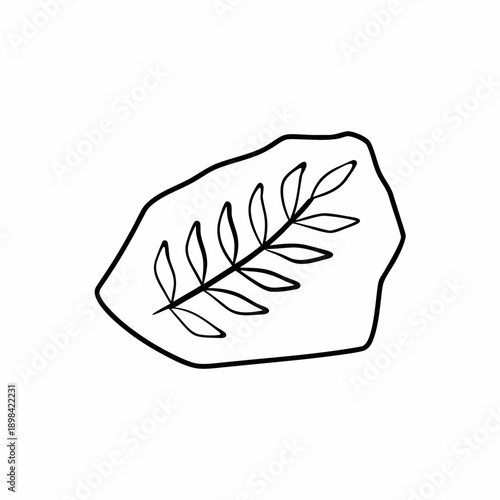 Fossil Leaf Vector