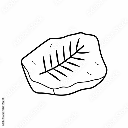 Fossil Leaf Vector