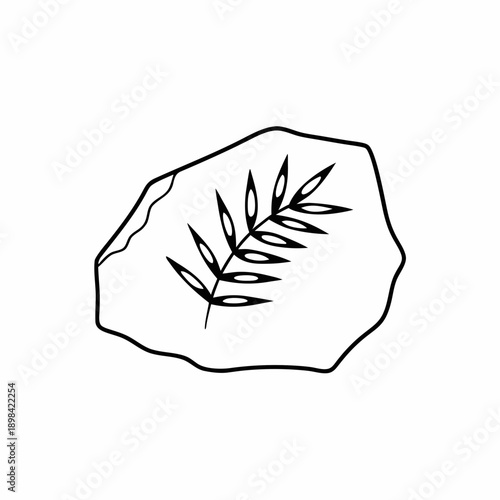 Fossil Leaf Vector