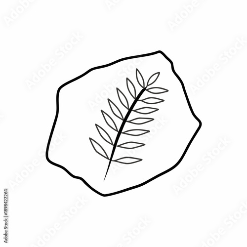 Fossil Leaf Vector