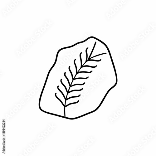 Fossil Leaf Vector