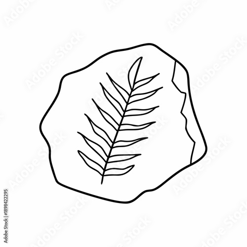 Fossil Leaf Vector