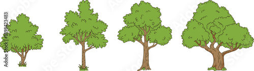 Set of four different green deciduous tree illustrations with hand drawn style, natural forest vegetation icons isolated on white background,