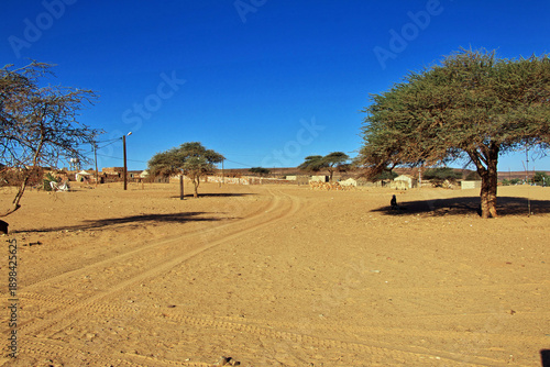 Oasis close of medieval old city Ouadane, Mauritania