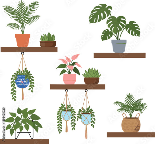 Indoor houseplants on wall shelves and hanging pots vector illustration set with tropical greenery, modern home garden decor design for interior, lifestyle and branding projects
