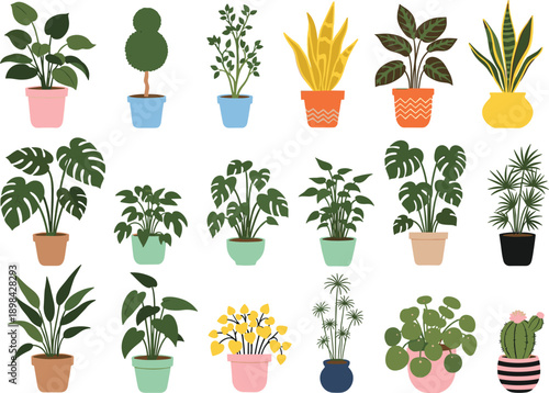 Potted houseplant collection vector illustration with tropical, leafy and cactus plants in colorful pots, modern home garden decor design for interior, lifestyle and branding projects
