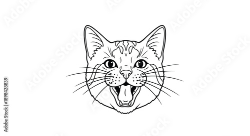 The feline head outline shows an open mouth with whiskers drawn.