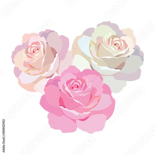 Rose flowers. Vector illustration. Roses in pink color, icons for design. Flower with petals. Love, romance flowers. Vector icons. Love symbol. For gifts, Valentine's Day, birthday, cards, decoration