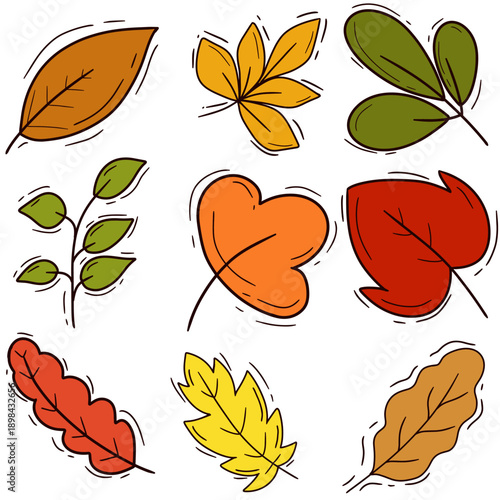 ​Set of Hand-Drawn Autumn Leaves and Fall Foliage Vector Elements