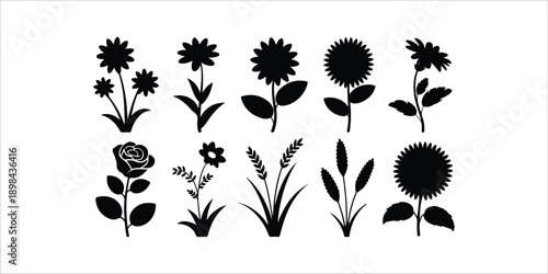  flower isolated on white background as package design element