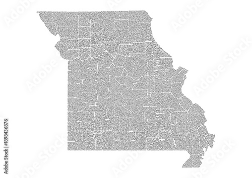 Abstract Missouri US State Map Organic Maze Style Line Art Vector Illustration Modern Wall Decor Print